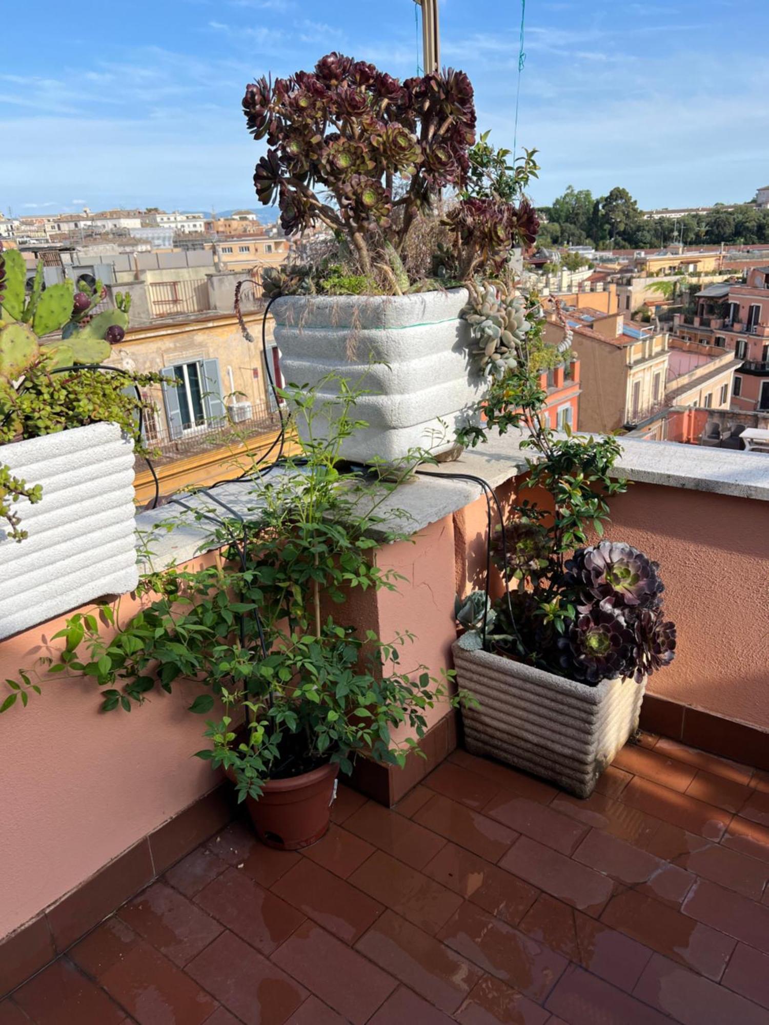 Spanish Steps Rome View Esterno foto